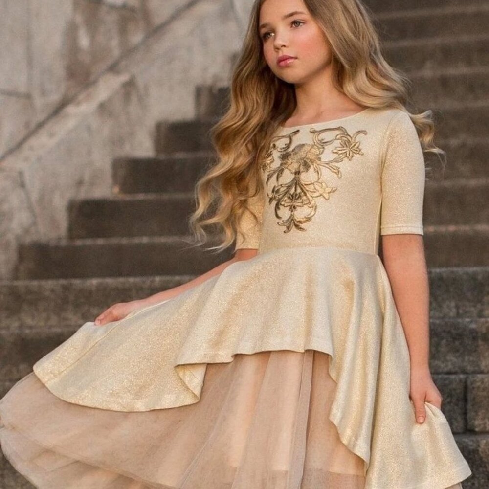 Joyfolie Roselyn Dress NWT